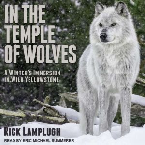 In the Temple of Wolves, Rick Lamplugh
