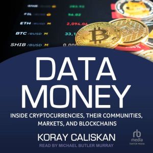 Data Money, Koray Caliskan