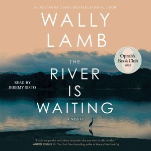 The River Is Waiting, Wally Lamb