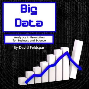 Big Data, David Feldspar
