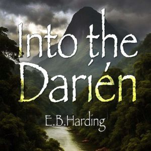 Into the Darin
