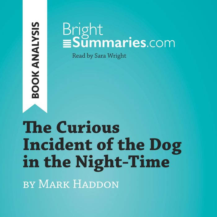 The Curious Incident of the Dog in th..., Bright Summaries