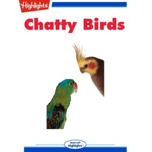 Chatty Birds, Stephanie Logue