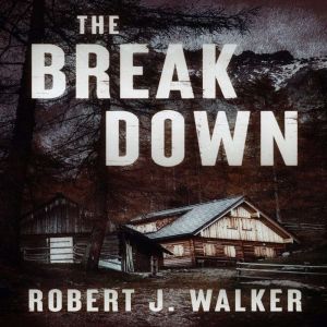 The BreakDown, Robert J. Walker