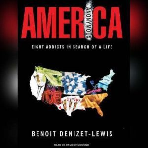 America Anonymous, Benoit DenizetLewis