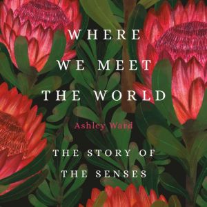 Where We Meet the World, Ashley Ward