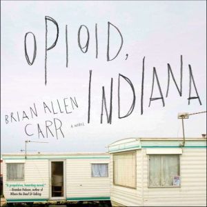 Opioid, Indiana, Brian Allen Carr