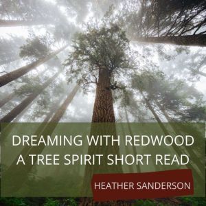 Dreaming with Redwood, Heather Sanderson
