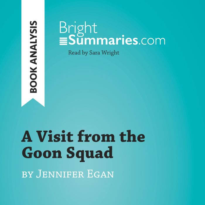 A Visit from the Goon Squad by Jennif..., Bright Summaries