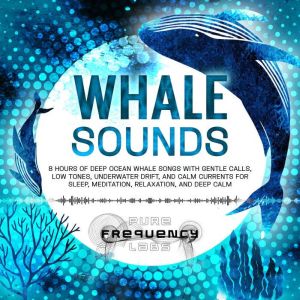 Whale Sounds 8 Hours of Deep Ocean W..., Pure Frequency Labs