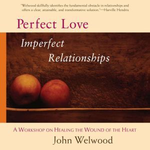 Perfect Love, Imperfect Relationships: A Workshop on Healing the Wound of the Heart, John Welwood