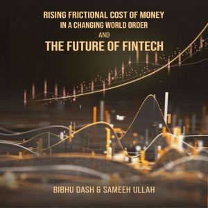 Rising Frictional Cost of Money in A Changing World Order And The Future of Fintech