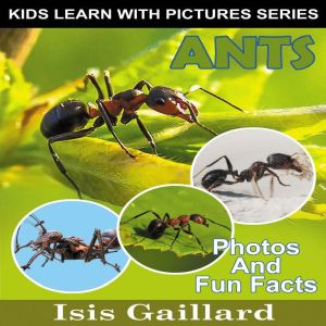 Ants, Isis Gaillard