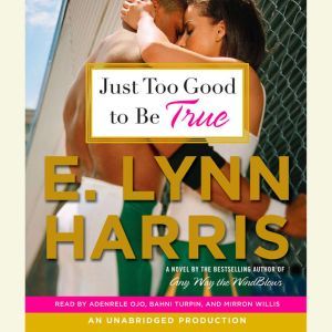 Just Too Good to Be True, E. Lynn Harris