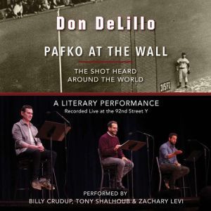 Pafko at the Wall, Don DeLillo