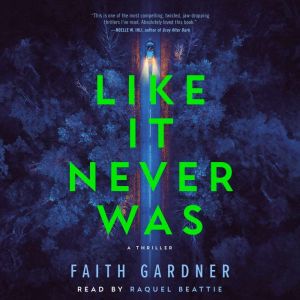 Like It Never Was: A thriller