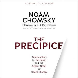 The Precipice, Noam Chomsky