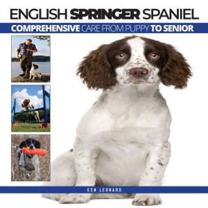 ENGLISH SPRINGER SPANIEL, Ken Leonard