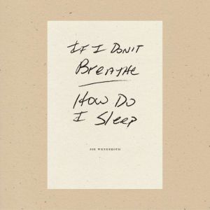 If I Dont Breathe How Do I Sleep, Joe Wenderoth