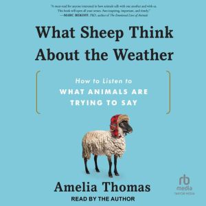 What Sheep Think About the Weather: How to Listen to What Animals Are Trying to Say
