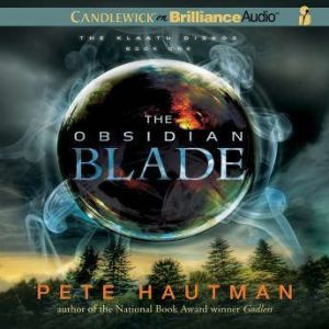 The Obsidian Blade, Pete Hautman