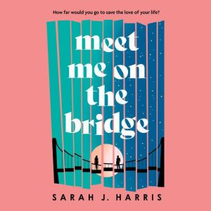 Meet Me On The Bridge