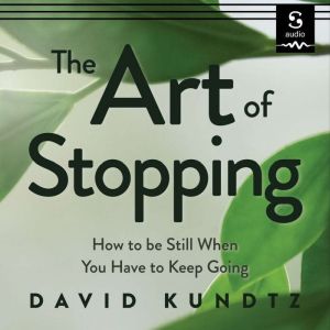 The Art of Stopping, David Kundtz