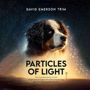Particles of Light, David Emerson Trim