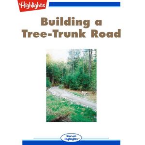 Building a TreeTrunk Road, Wendy Hobday Haugh
