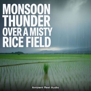Monsoon Thunder Over a Misty Rice Fie..., Ambient Rest Audio
