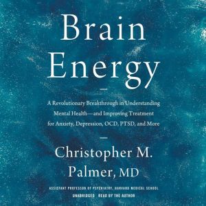 Brain Energy, Christopher M. Palmer
