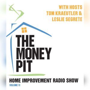The Money Pit, Vol. 11, Tom Kraeutler Leslie Segrete