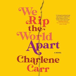 We Rip the World Apart: A Novel