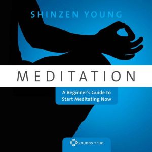 Meditation, Shinzen Young