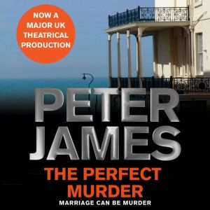 The Perfect Murder, Peter James