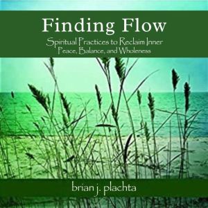Finding Flow