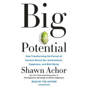 Big Potential, Shawn Achor