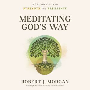 Meditating Gods Way, Robert J. Morgan