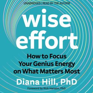 Wise Effort: How to Focus Your Genius Energy on What Matters Most