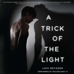A Trick of the Light, Lois Metzger