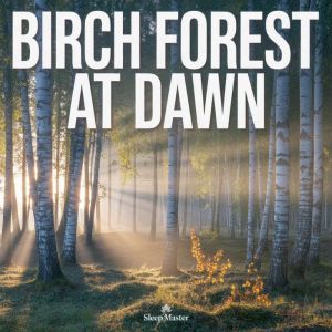 Birch Forest at Dawn, Sleep Master