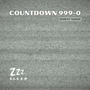 Countdown 999-0: White Noise