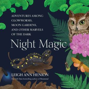 Night Magic, Leigh Ann Henion