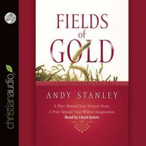 Fields of Gold, Andy Stanley