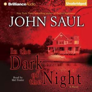 In the Dark of the Night, John Saul