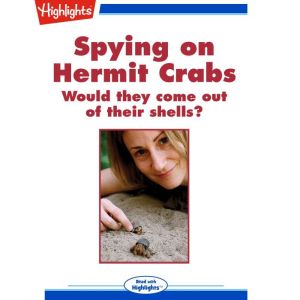Spying on Hermit Crabs, Jennifer Davidson