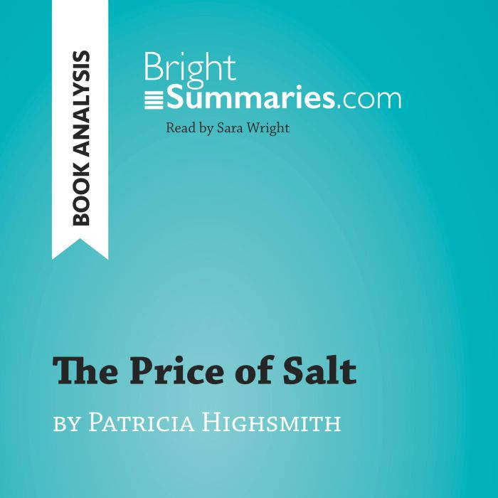 The Price of Salt by Patricia Highsmi..., Bright Summaries