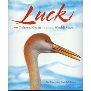 Luck, Jean Craighead George