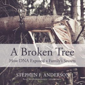 A Broken Tree, Stephen F. Anderson