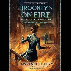 Brooklyn on Fire, Lawrence H. Levy